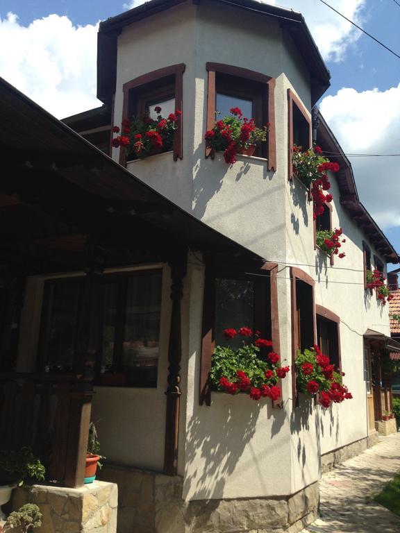Pensiunea Casa Bianca Bucovina Vama  Bagian luar foto