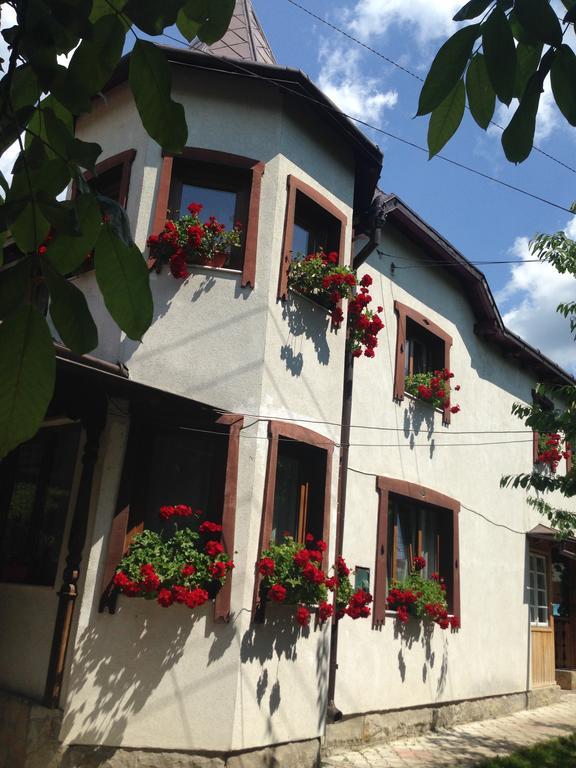Pensiunea Casa Bianca Bucovina Vama  Bagian luar foto
